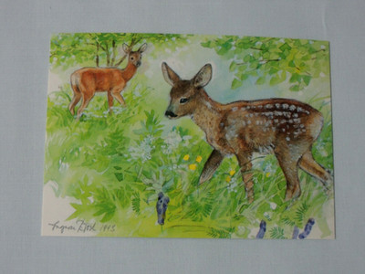 1x  Postkarten REHE Ingvar Björk - A6 - Tiere Reh Kitz Wiese Wildtiere