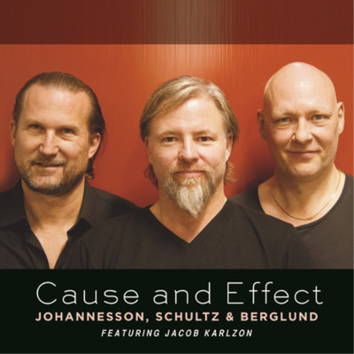 Dan Berglund Cause and Effect (CD) Album