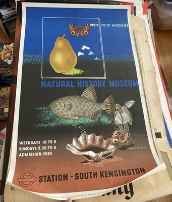 London Transport Poster E McKnight Kauffer 25x40 natural history museum 1974