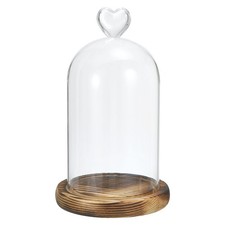 9.1"x3.5" Glass Dome Cloche Clear Glass Bell Jar Display Case Tabletop