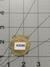 WW 2 US Army 37th Infantry Division Cloth DI Patch Inv# K5356