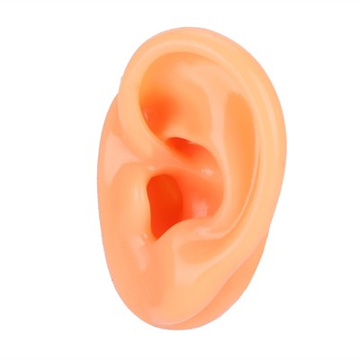 Silikon Left Ear Model Simulation Display Ear Model Für Krankenhaus Hörgerät CUB