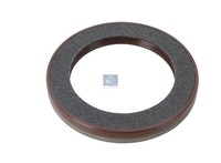 Dt Spare Parts Wellendichtring Kompressorwelle 2.32213 FüR Renault FM7 Magnum