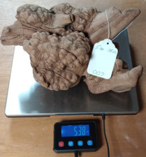 Manzanita Burl Root Wood / Turning Crafts approx. 12"X8.5"X5" 5.38 lbs. 007