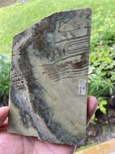 African Serpentine Slab Very Unique Patterns 224 Grams