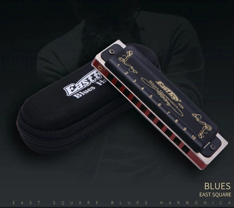 Harmonica Diatonic 10Holes Blues Harp 低 F /Paddy Mouth Ogan 乐器 — 第 3/4 张图片
