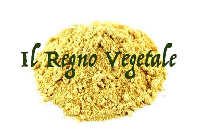 FIENO GRECO POLVERE ( TRIGONELLA FOENUM - 100 Gr