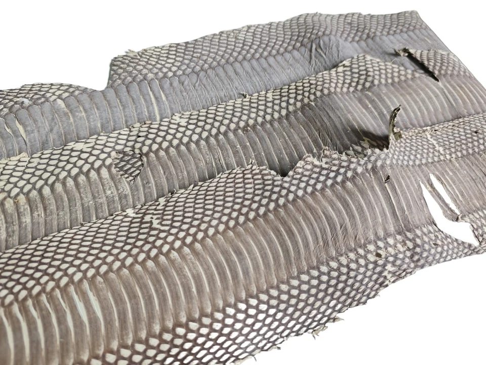 Retro natural color Genuine old scared cobra snake Skin Leather hide - Image 2 of 3