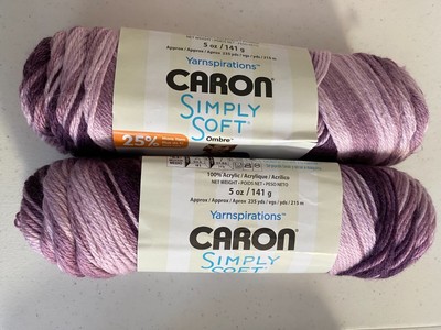 2 skein lot Caron Simply Soft Ombre Stripes Acrylic #4 Worsted Baby grape Purple