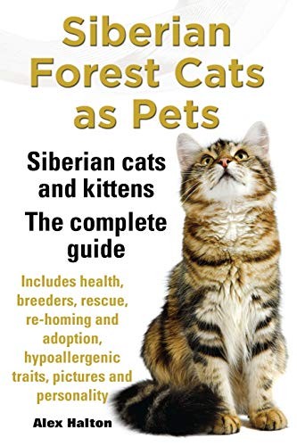 Siberian Forest Cats as Pets: Siberian Cats and Kittens. The Com