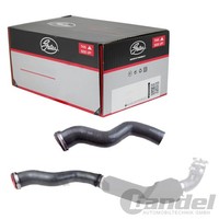 Gates Ladeluftschlauch Passend FüR Opel Movano Renault Master | 09-0950