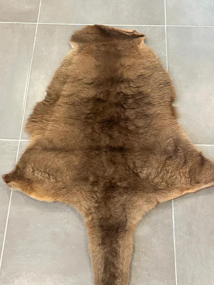 Piel de canguro curtida australiana genuina con piel de cola piel cuero piel piel piel 34,5 x 34 Foto 4 de 4