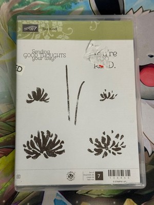 Stampin  Up! TOO KIND Stamp Set Used