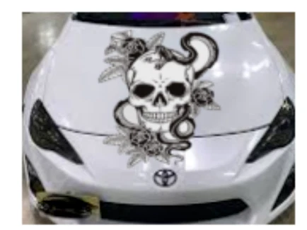 CALCOMANÍA O PEGATINA CALAVERA, SERPIENTE, FLORES PARA CAPÓ DE COCHE O EN CUALQUIER LUGAR, PEGATINA GENIAL Foto 3 de 3