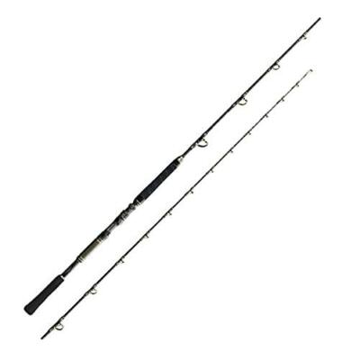 Shimano 21 ARCIERA AOMONO H215 Big Game Rod