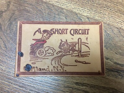 Antique Leather Post Card Early Postmarked 1907 1 Cent Stamp E3