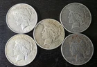 Peace Silver Dollar Lot of 5
