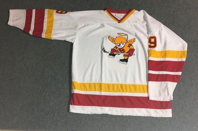 minnesota fighting saints jersey