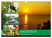 Calendar 2027 · US Version · Amazon - Fascination Rainforest (Wall Calendar 2027