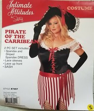 Pirate of the Caribbean Buccaneer Spandex Dress Costume Plus Size 3/4