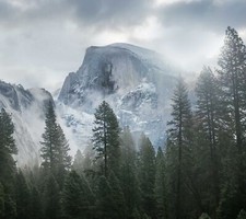 Landscape nature yosemite national park trees forest Custom Gaming Mat Desk