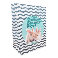 Geschenktasche Osterhase Ostern GeschenktüTe Tragetasche Geschenkverpackung