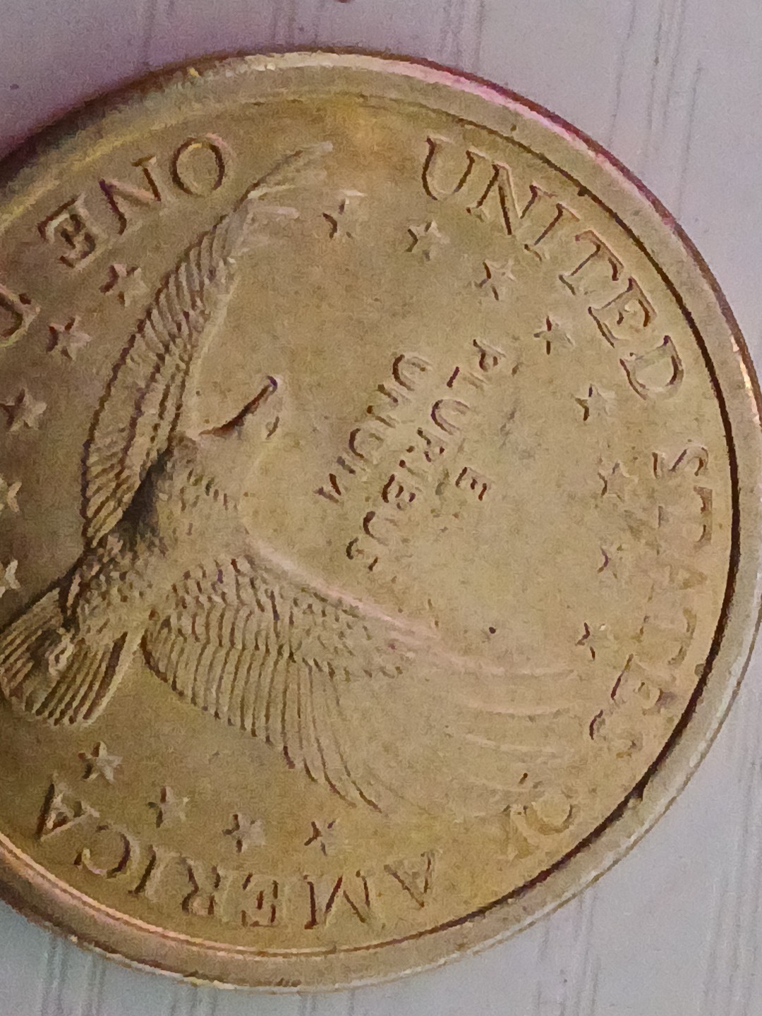 Picture 4 of 5