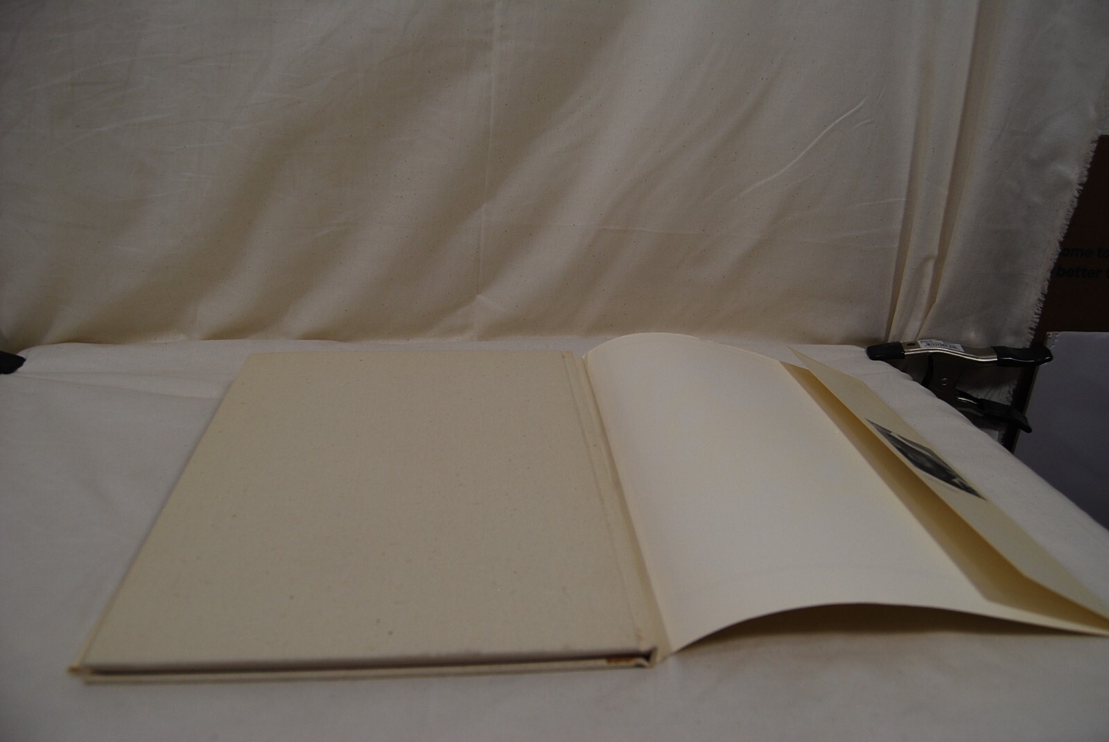 Signed TED DE GRAZIA 1967 AH HA TORO Book