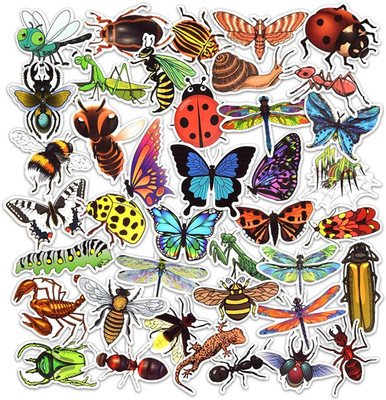 50 PCS Cute Bug Stickers for Kids Waterproof Vinyl Insect Stickers for Water Bot