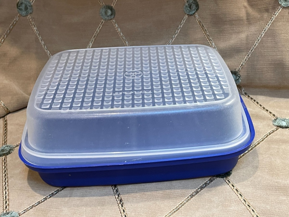 Blue Tupperware Meat Tenderizer/Marinate1295-8 Bottom 1294-8 Lid