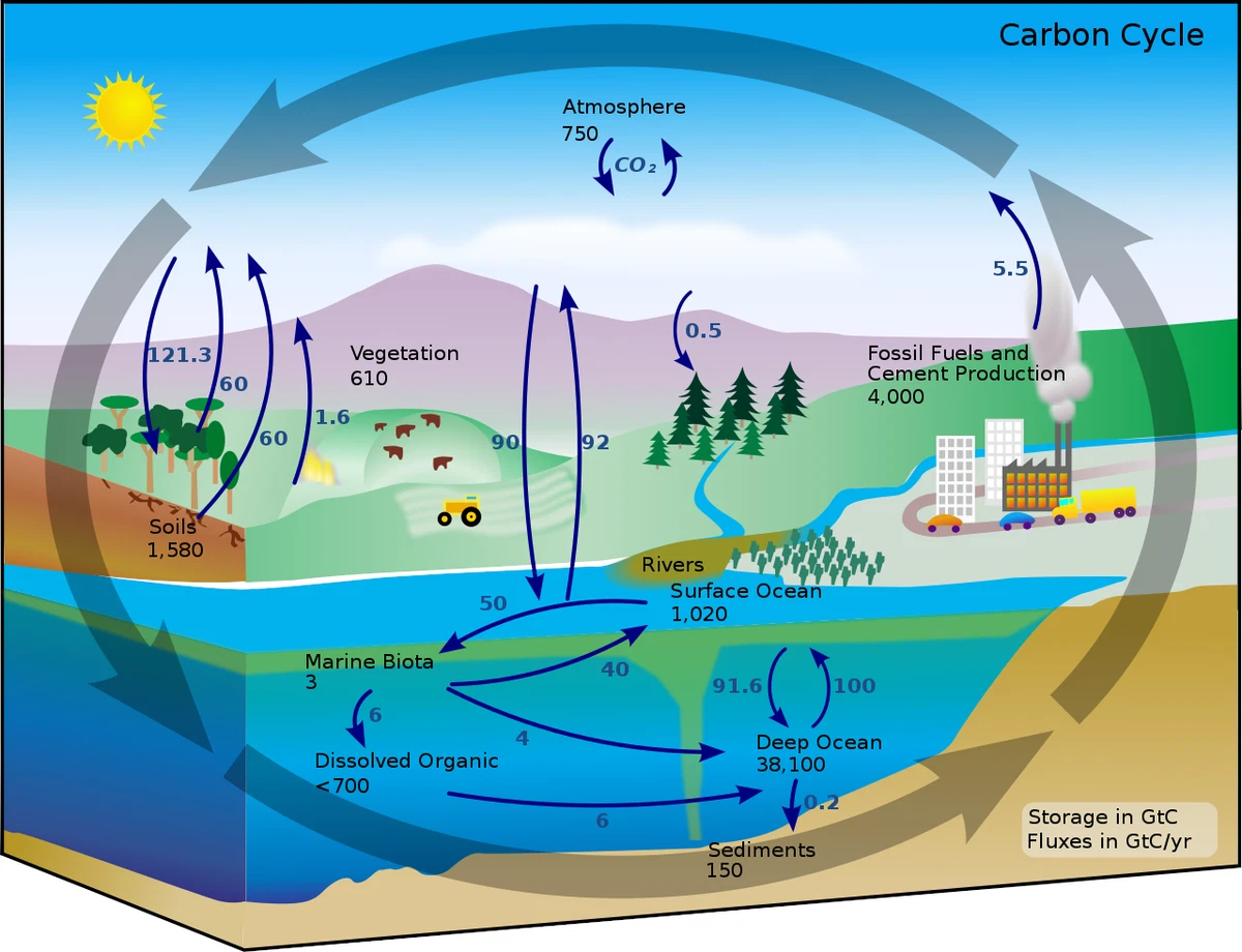 Burning Fossil Fuels Diagram