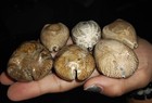 Bild 2 von 8