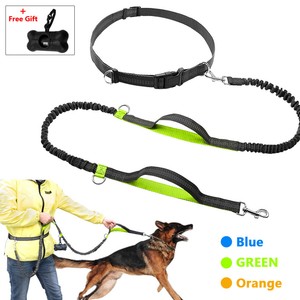 dog jogging belt