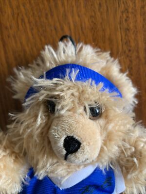 kevin durant dog jersey