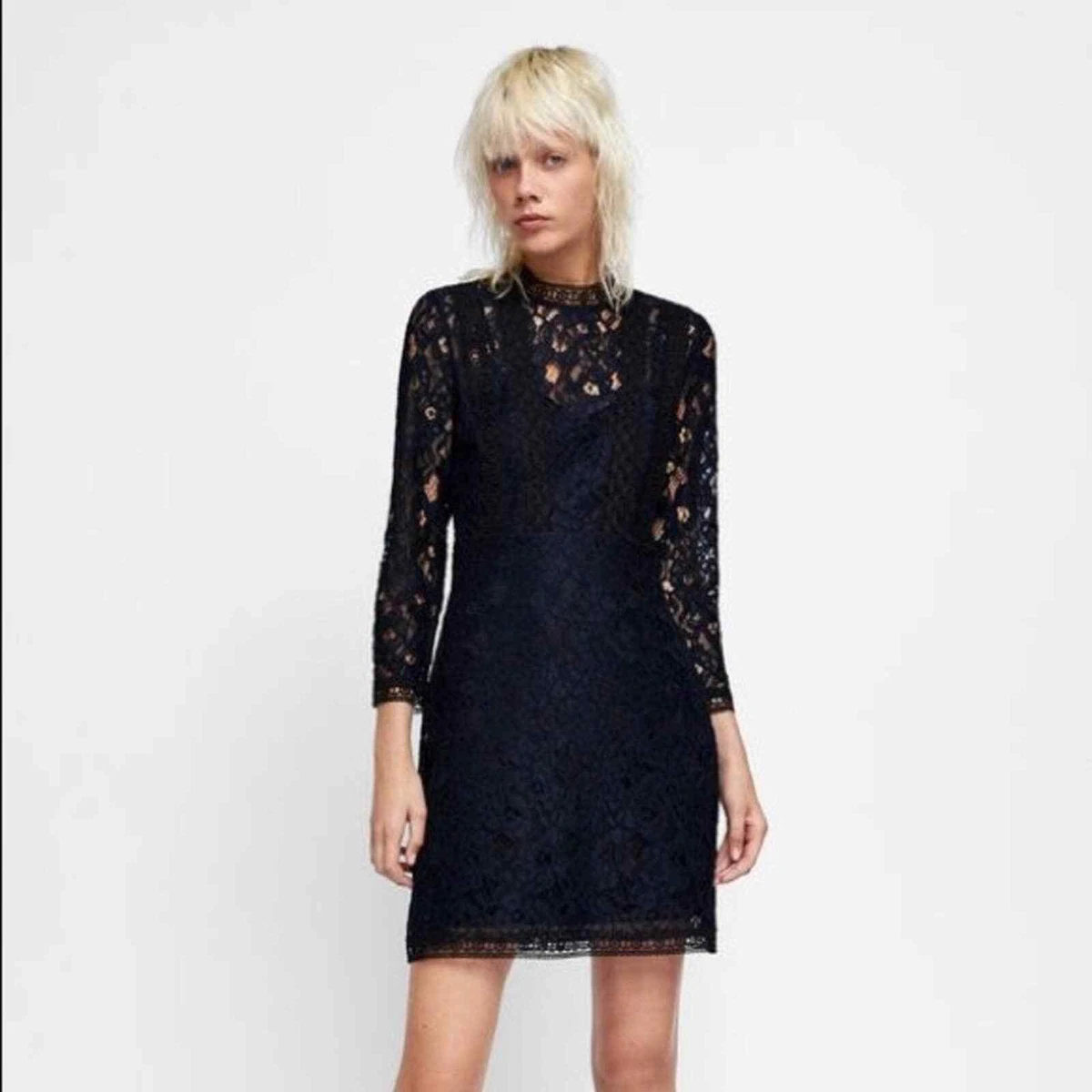 Zara navy lace deals dress