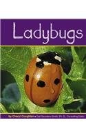 Ladybugs (Insects (Mankato, Minn.).)