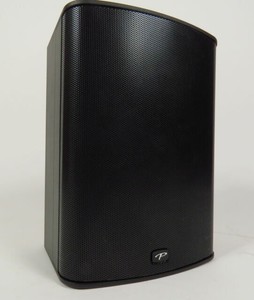 paradigm bluetooth speaker