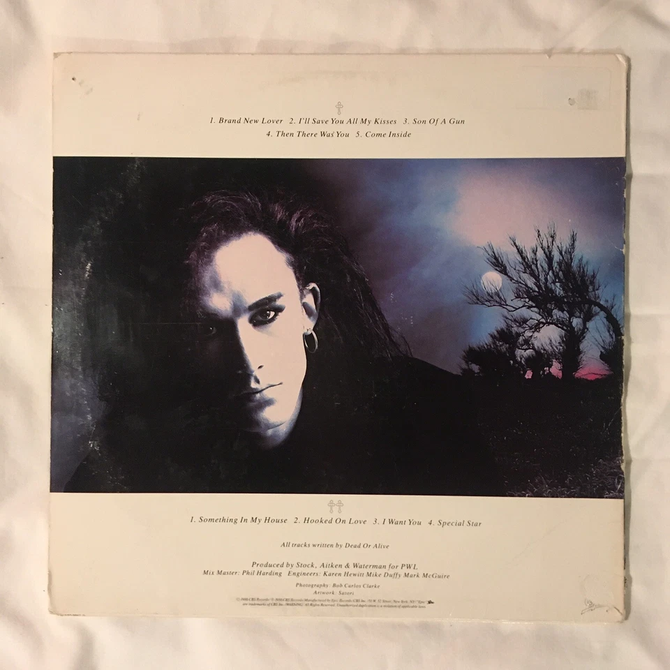 Dead Or Alive Mad, Bad And Dangerous To Know 1986 LP, E 40572 W/ OG Inner VG+/G+ - Image 2 of 4