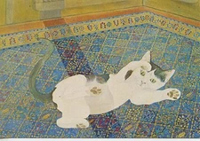 Postcard Illustrated by Evelyne Blot / Paws in the Air / Cat
