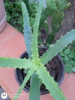 Foto 7 di 11
