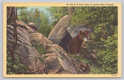 Vintage Linen Postcard W.VA. Bear ''I Can't Bear to Leave West Virginia'' Curt