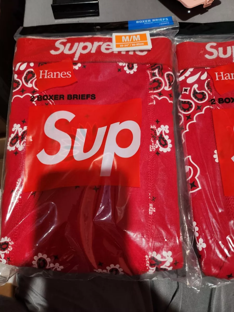 Supreme Hanes Bandana Boxer Briefs (2 Pack) White