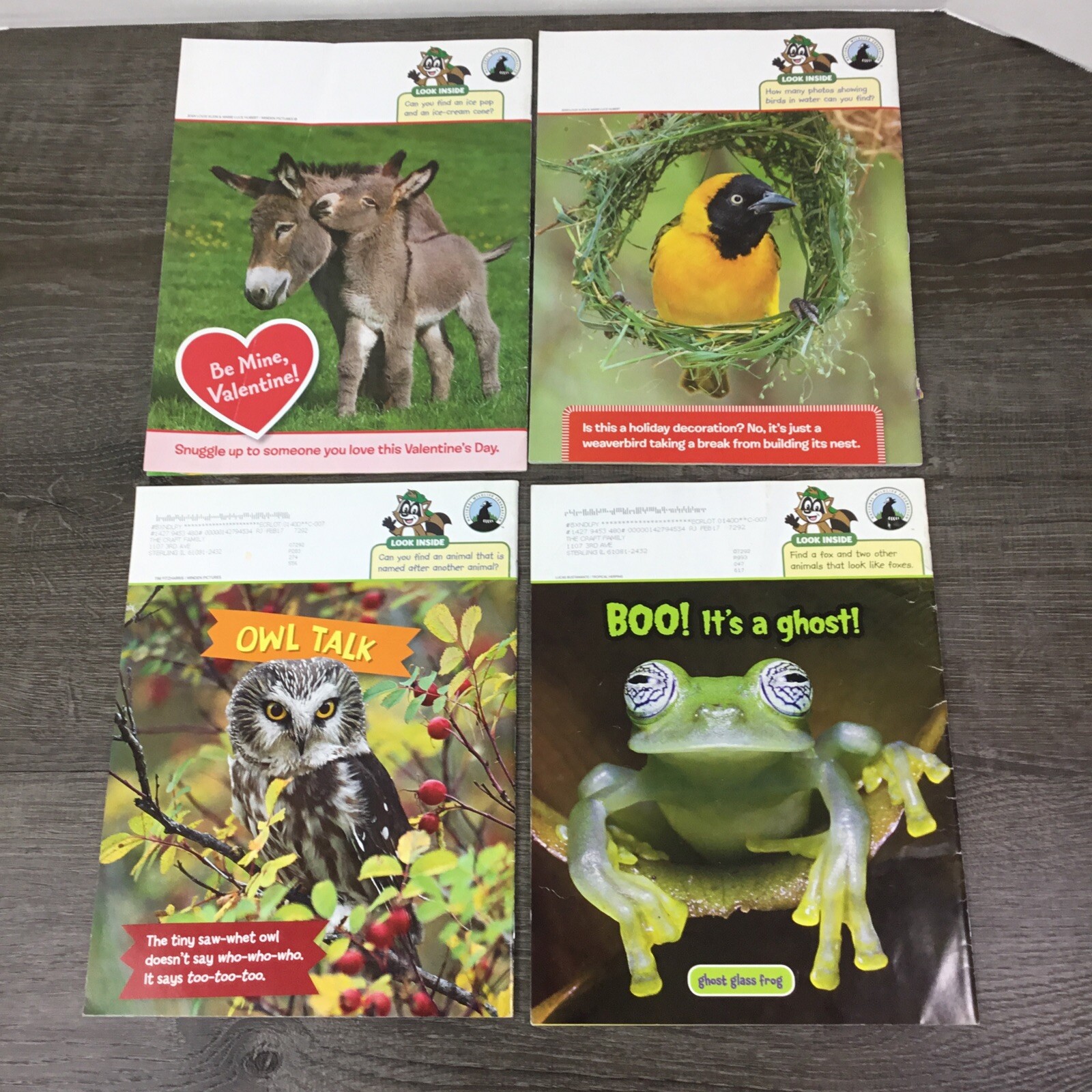 Ranger Jr. Magazine RANGER RICK JR Magazines 2016-2017 with Posters Lot Of 4 | eBay