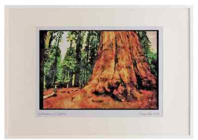 038088 General Sherman Tree Sequoia National Forest A3 Bilderrahmen Aquarell