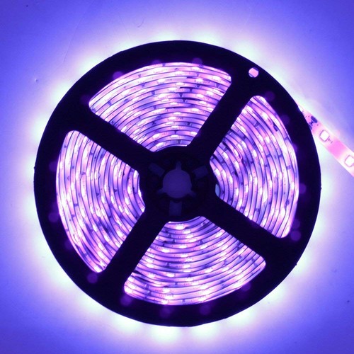 Super Bright 60 Watts UV Black Light LED Strip, 16.4FT/5M 3528 300LEDs 395nm-... - Picture 7 of 7