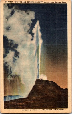 #ad White Dome Geyser 30 Feet Yellowstone National Park Haynes Postcard Linen $4.95