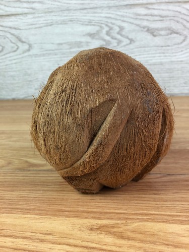 Carved Coconut Elephant  - Picture 6 of 9