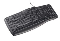 Trust Convex Keyboard Cz Layout Cz Keyboard Rf Wireless Qwertz