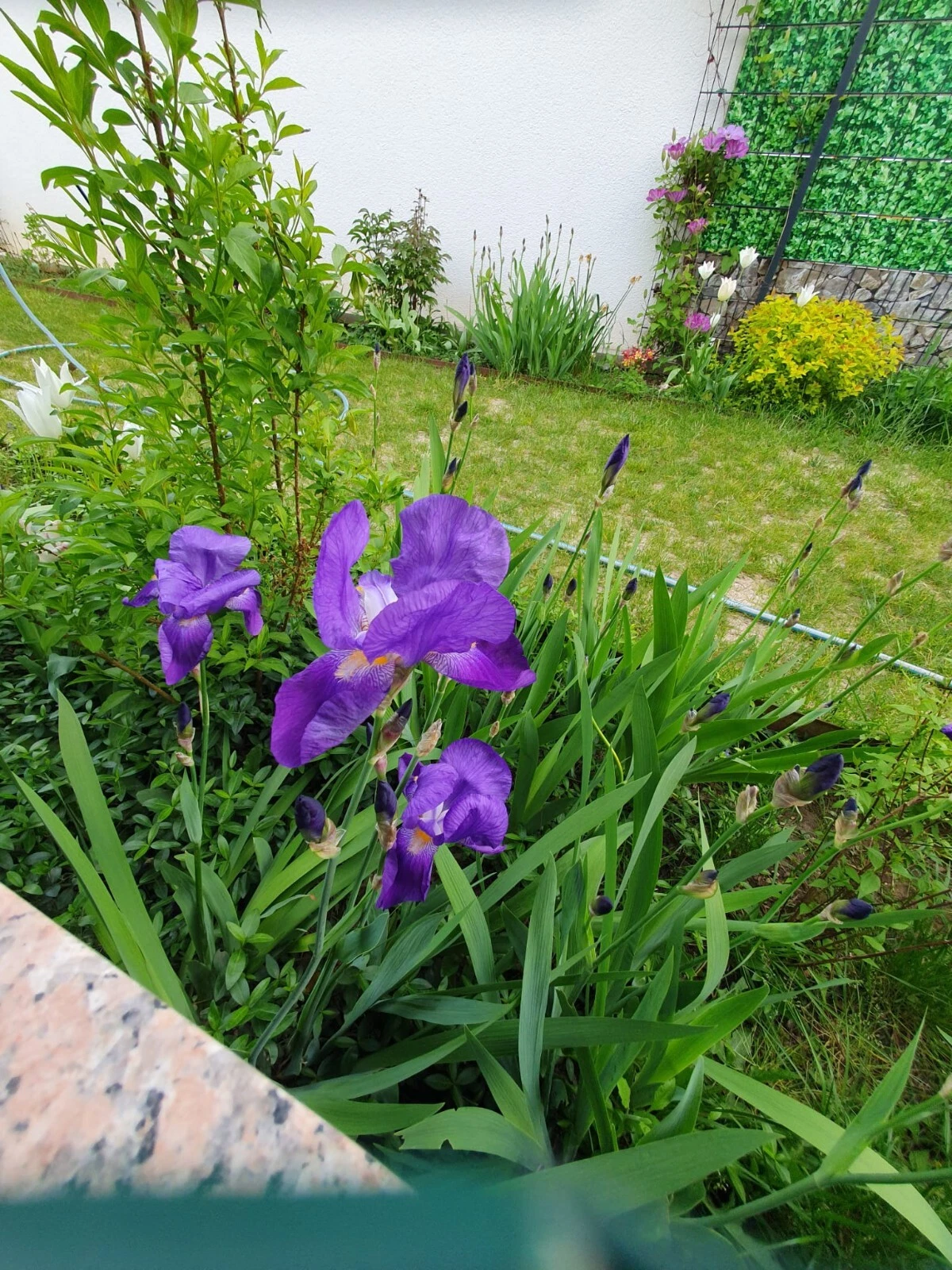 Bild 2 von 2