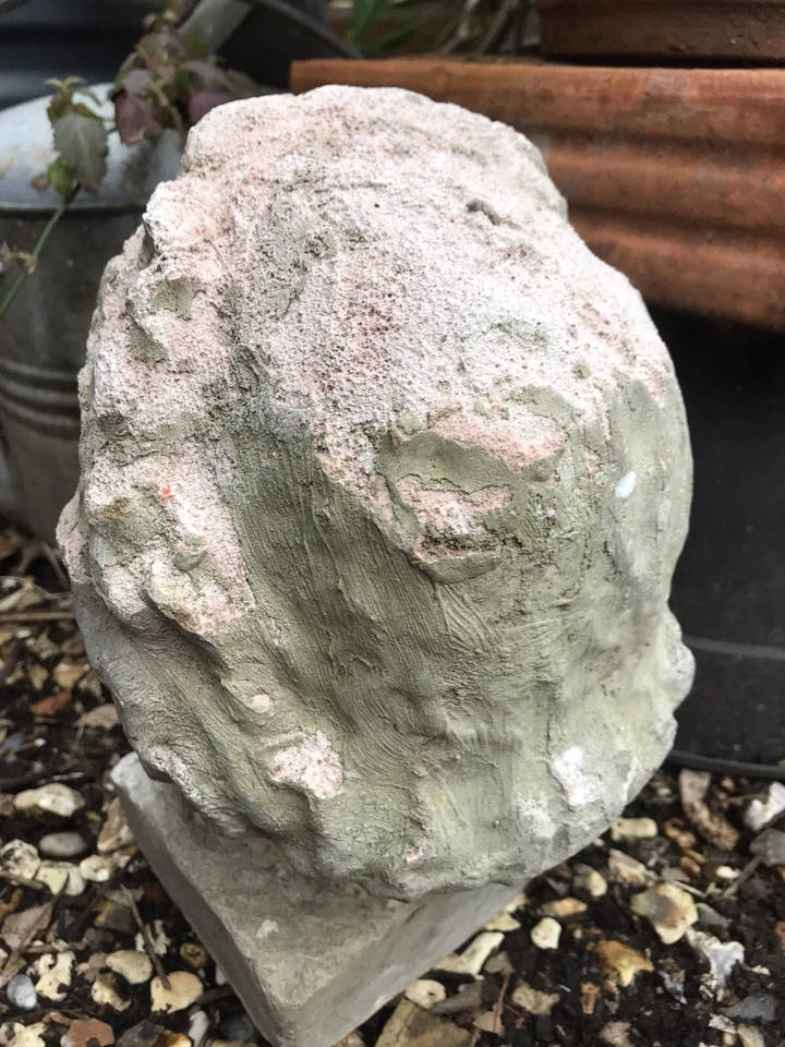 Head Sculpture-Garden Ornament-30x20cm - Image 3 of 4